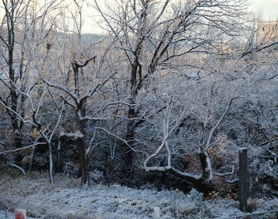 0128asa.jpg