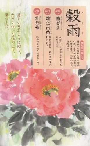 0405穀雨.jpg