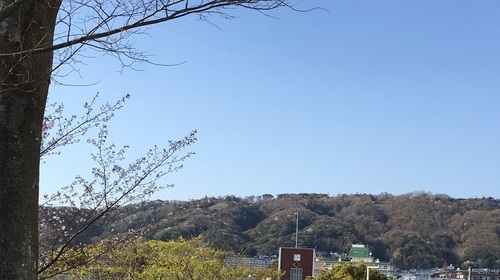 04062025Satukiyama1280.jpg